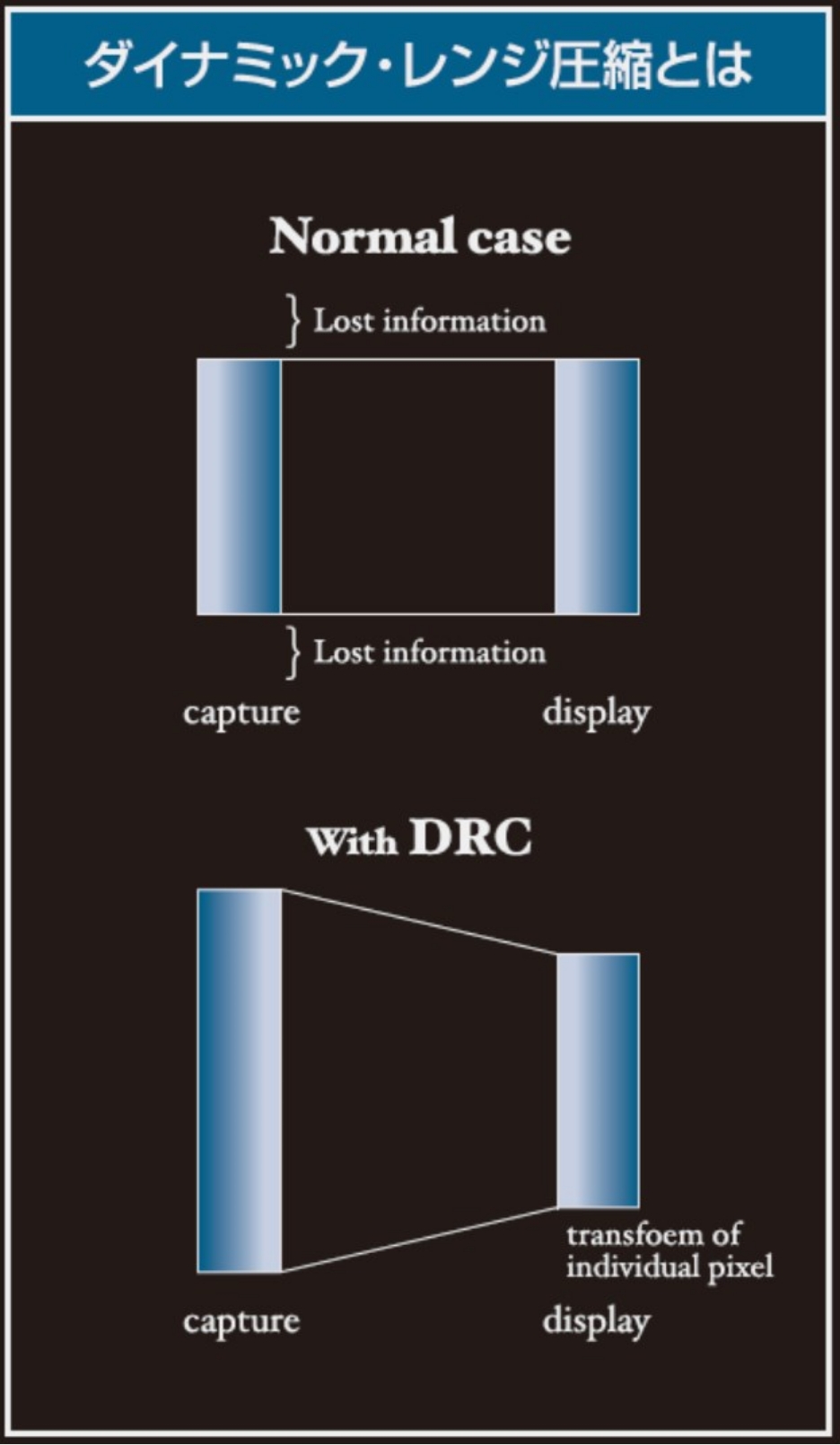 See like the eye Retina-Morphic Processing